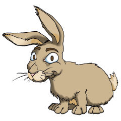 Le signe chinois : Lapin